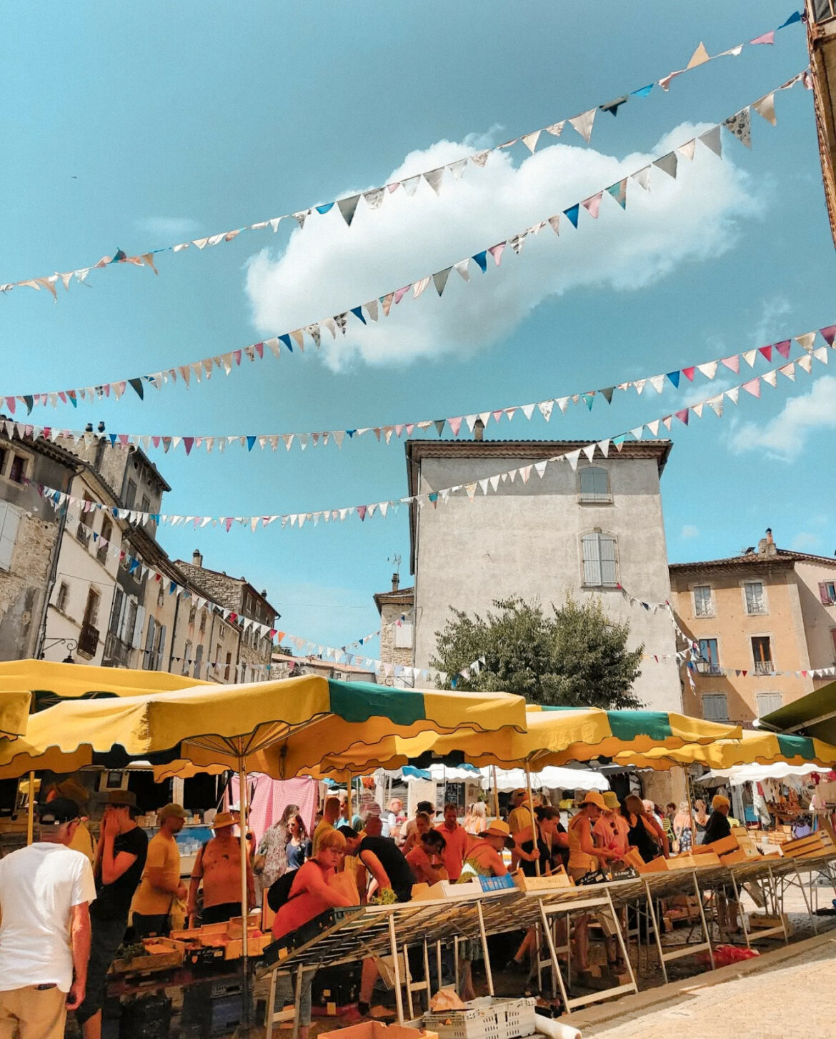 LES MARCHÉS DES VANS